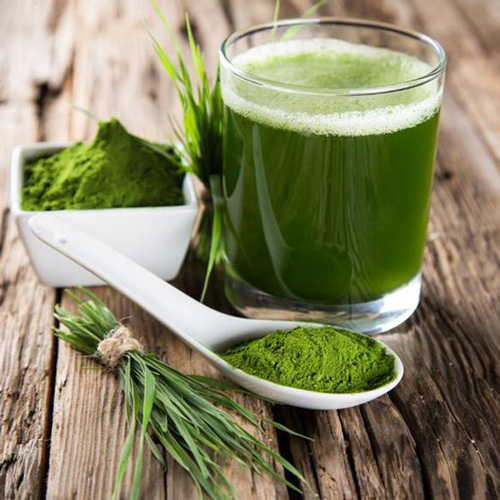 Barley Grass Juice Powder